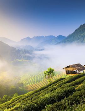 Chiang Mai countryside
