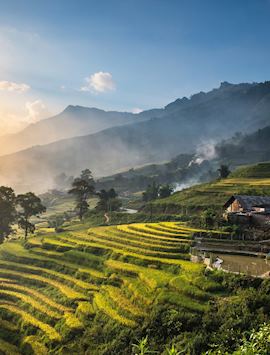 Rice terraces, Munduk
