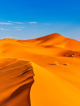 Sahara Desert, The Erg Chebbi