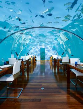 Ithaa Undersea Restaurant, Conrad Rangali Island & Resort, Maldive Island