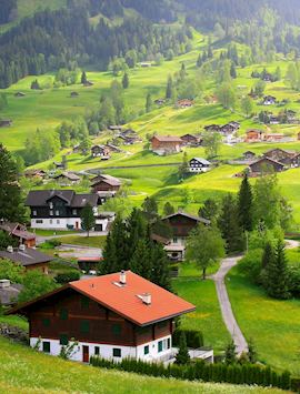 Grindelwald, Bernese Oberland