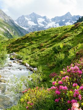 Austria in spring