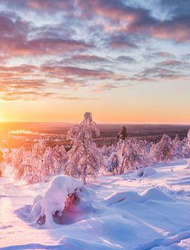 Wintry scenery in Swedish Lapland