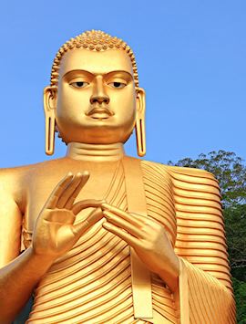 Golden Buddha statue in Dambulla