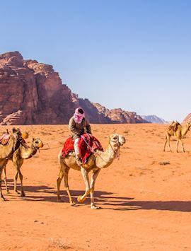 Camel caravan in Wadi Rum