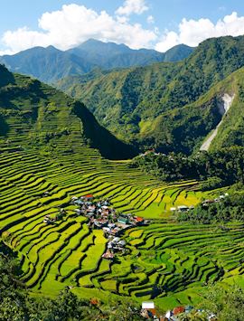 Rice terraces in Batad
