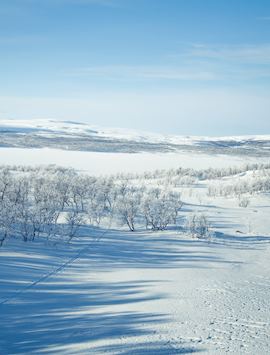 Finnmarksvidda, Alta Region