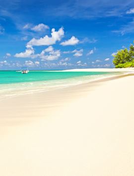 Denis Island, The Seychelles