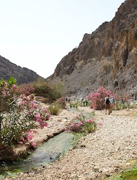 Trekking in Dana Biosphere Reserve