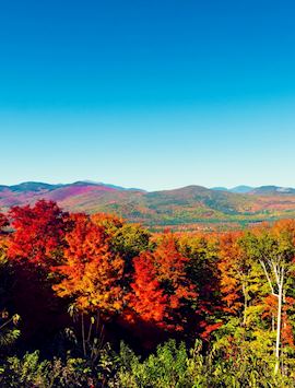 Fall foliage at Kancamagus Highway in New Hampshire