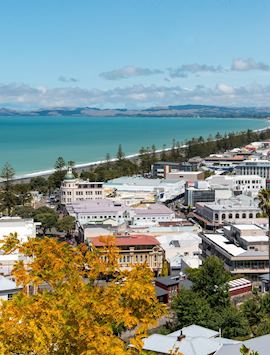 Napier