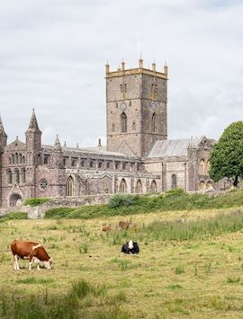St Davids Cathedral, St Davids