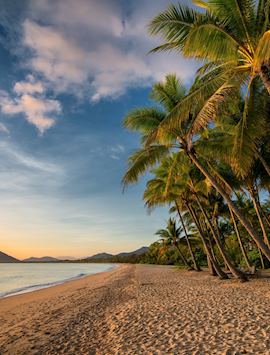 Palm Cove, Cairns Region