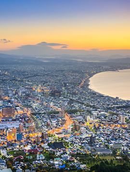 Hakodate skyline at dusk