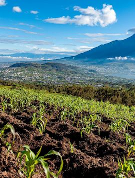 Countryside around Otavalo, Ecuador