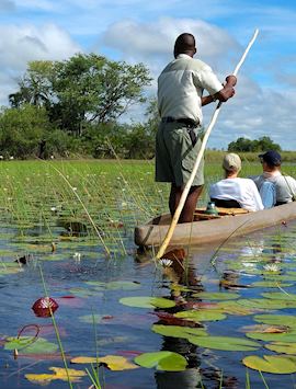 Mokoro in the Okavango Delta