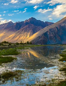 Nubra Valley in Ladakh