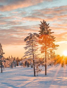 Saariselkä in Finnish Lapland
