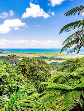 View from Alexandra Lookout in Daintree Rainforest, Queensland