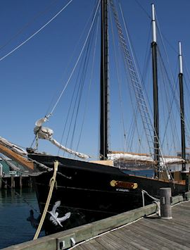 Harbour sailing trip on the tall ship Silva