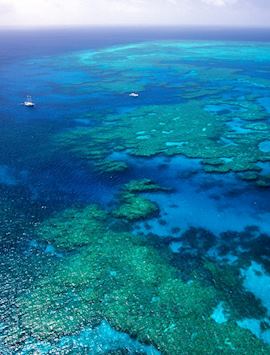 The Great Barrier Reef