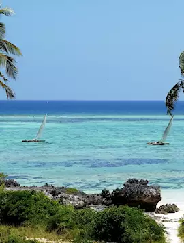 https://cdn.audleytravel.com/270/355/79/197909-zanzibar-island-tanzania.webp