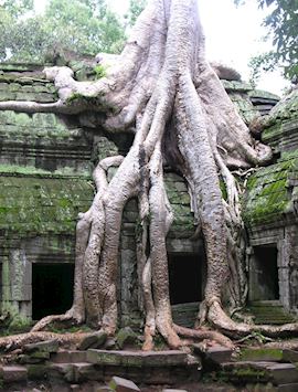 Ta Prohm