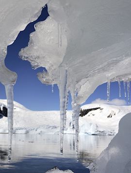 Antarctic ice