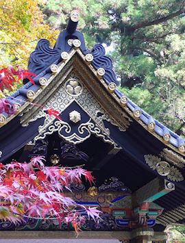 Temple roofs & autumn leaves, Nikko