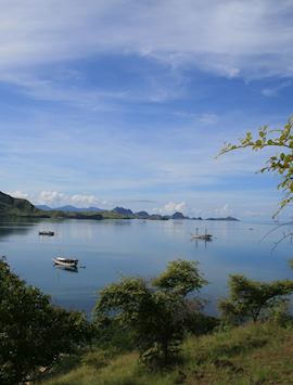 Komodo archipelago, Indonesia