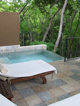 One-Bedroom Suite with Plunge Pool, The Four Seasons Resort