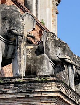 Elephants adorning Wat Chedi Luang