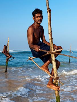 Stilt fishermen just outside Galle