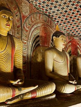 Buddha statues in the Dambulla Cave Temples