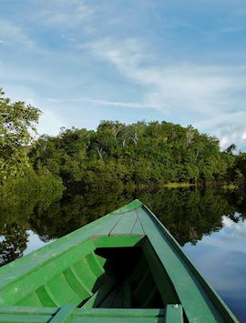 Travelling through the Amazon Rainforest