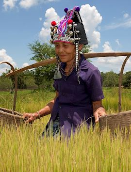 Lady of the Akha tribe, Laos