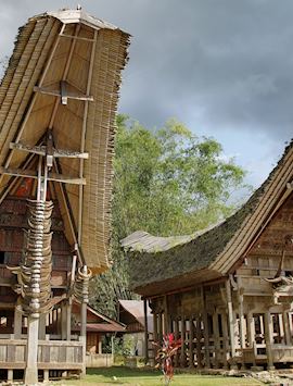 Traditional village houses, Tana Toraja, Indonesia