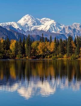Mt Denali