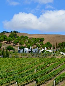 Hawke's Bay winery
