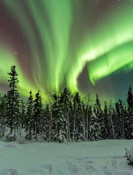 The Northern Lights