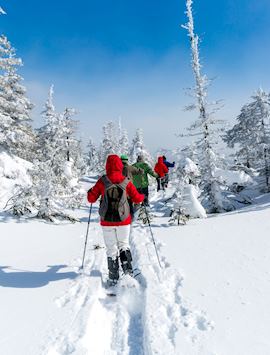 Snowshoeing guided tour