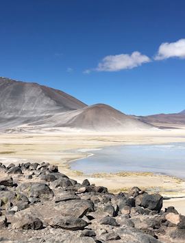 Lagunas Altiplanicas, Atacama Desert