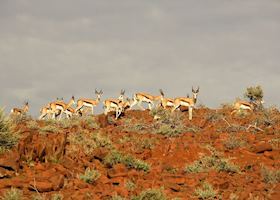 Luxury Namibia Flying Safari | Audley Travel