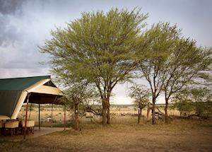 Olakira Mobile Camp, Serengeti National Park Olakira Mobile Camp, Serengeti National Park