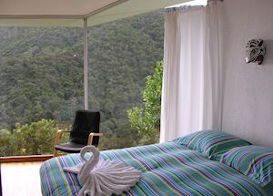 Two bedroom bungalow, Dantica Cloud Forest Lodge, San Gerardo de Dota Two bedroom bungalow, Dantica Cloud Forest Lodge, San Gerardo de Dota