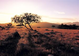 Wilpena Pound Sunset, Flinders Ranges, South Australia Wilpena Pound Sunset, Flinders Ranges, South Australia