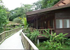 Evergreen Lodge, Tortuguero National Park Evergreen Lodge, Tortuguero National Park