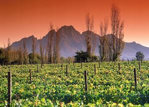 Franschhoek, South Africa Franschhoek, South Africa