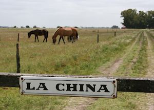 La China - Casa del Campo La China - Casa del Campo