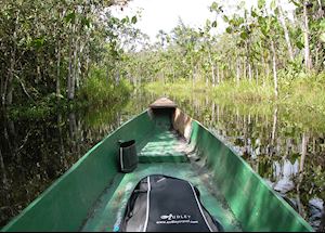 Audley in the Ecuadorian Amazon Audley in the Ecuadorian Amazon